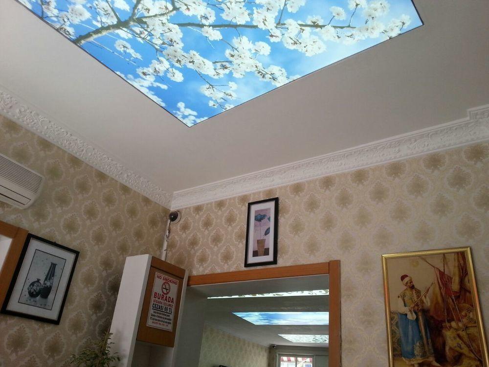 Elite Plus Family Hotel Old City Istanbul Bagian luar foto